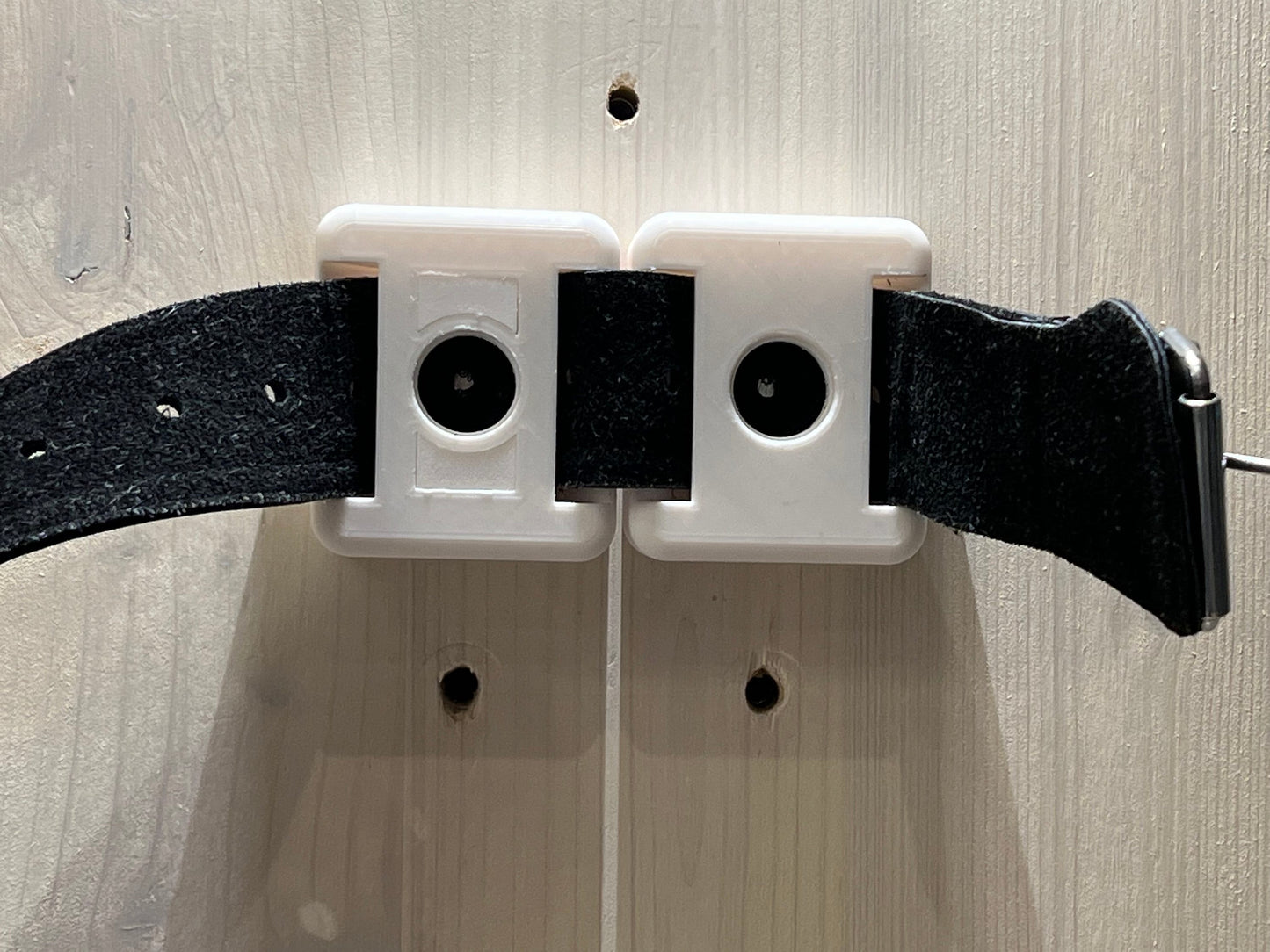 Wall mount for Segufix Restraints